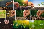 How I Start My Seeds (Part 1)