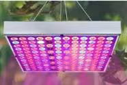 I Need More Grow Lights For My Seed Nursery