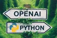 Installing the OpenAI Library on Python