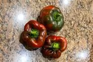 My Garden - September 2023