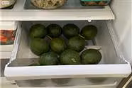 Extend Your Avocado Harvest By Refrigerating Your Avocados