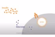 Focus on Health - Insulin Resistance
