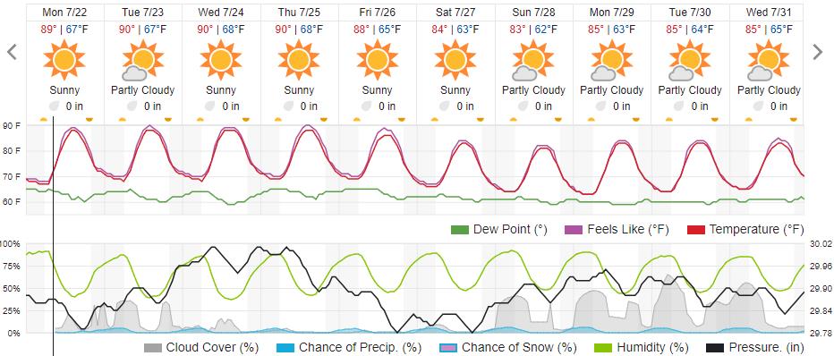 Original saved forecast, archive week 29 of 2024; open image to read dates and weather details