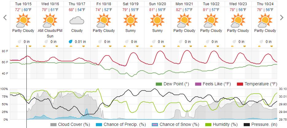 Original saved forecast, archive week 41 of 2024; open image to read dates and weather details