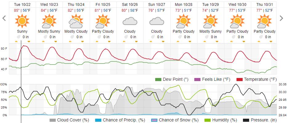 Original saved forecast, archive week 42 of 2024; open image to read dates and weather details