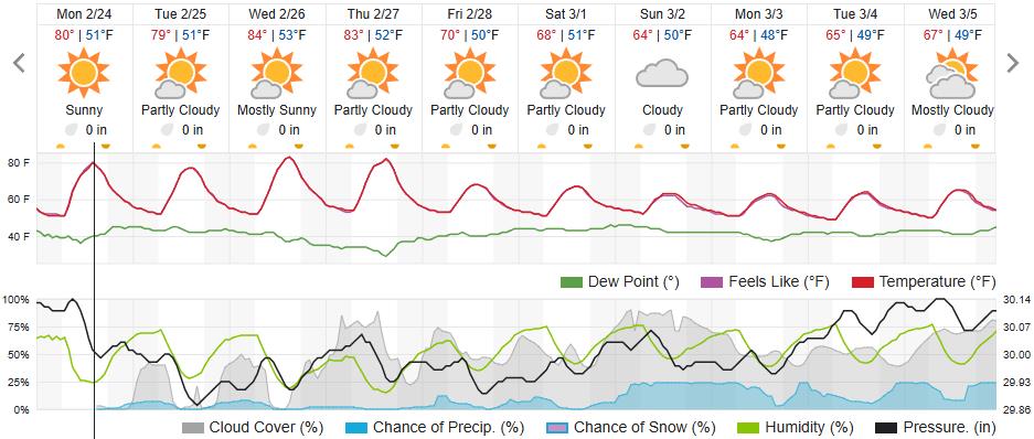 Original saved forecast, archive week 8 of 2025; open image to read dates and weather details
