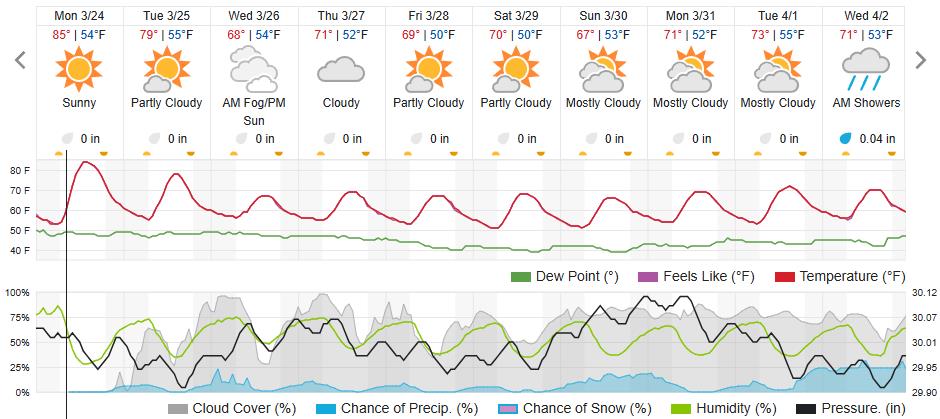 Original saved forecast, archive week 12 of 2025; open image to read dates and weather details