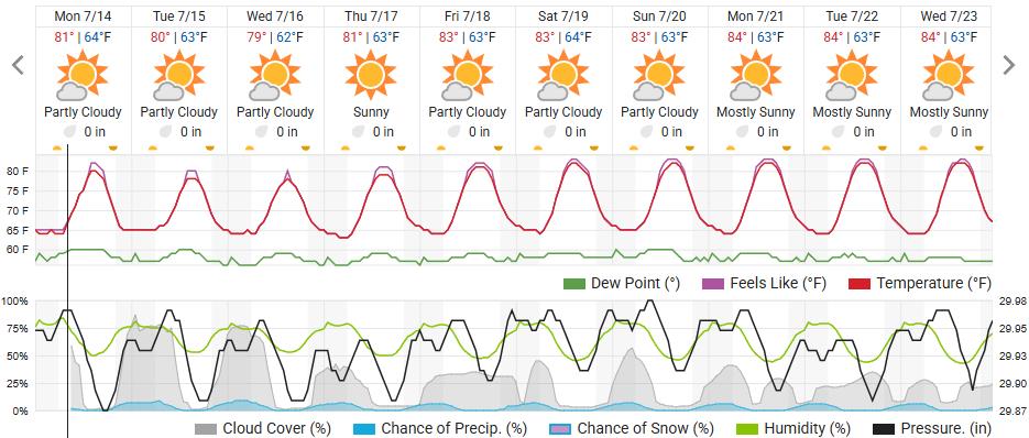 Original saved forecast, archive week 29 of 2025; open image to read dates and weather details